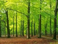 Century Autogroep Hoogeveen